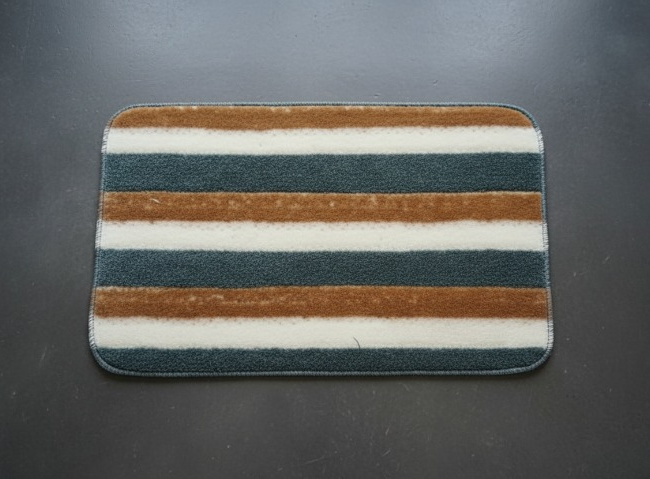 Versatile Absorbent Mat – 25"x16" Ultra-Soft Microfiber Quick-Dry Mat with Non-Slip Backing for Bathroom, Kitchen, and Living Spaces ( Random Design)